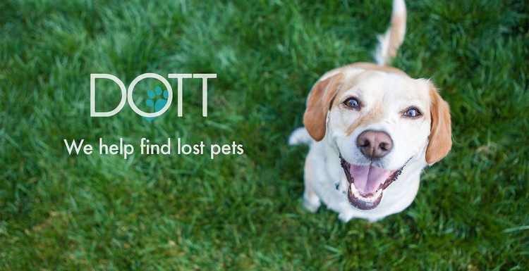 DOTT